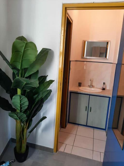 Confortable En Hyper Centre Parking Gratuit Dans La Rue Acces Avec Boite A Clee Appartement Castres  Buitenkant foto
